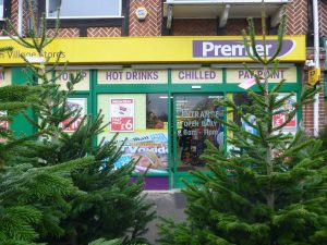 Real Hatfield Christmas Trees 1