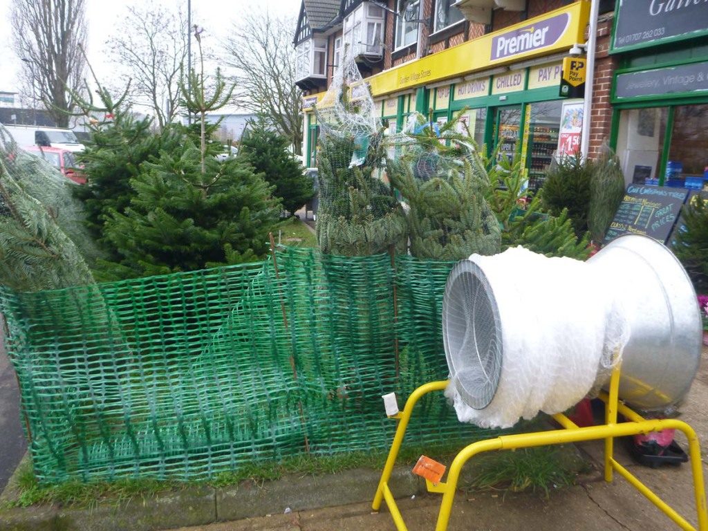 Hatfield Christmas Trees Real Christmas Trees For Sale Hatfield